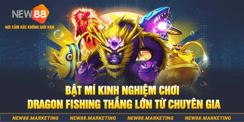 Bắn Cá Long Vương - Hướng Dẫn Cách Chơi, Quy Định Đơn Giản 7 Bật mí kinh nghiệm chơi Dragon fishing thắng lớn từ chuyên gia